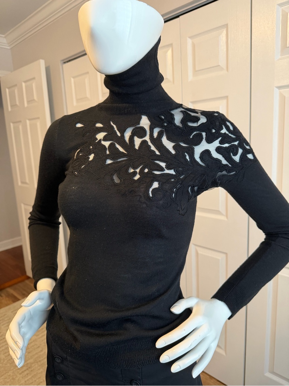 Express Merino wool turtle neck